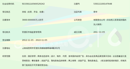 云南帝貝主題酒店管理 代理國內(nèi)各類廣告的創(chuàng)新實(shí)踐